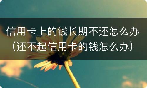 信用卡上的钱长期不还怎么办（还不起信用卡的钱怎么办）