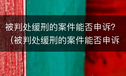 被判处缓刑的案件能否申诉？（被判处缓刑的案件能否申诉解决）