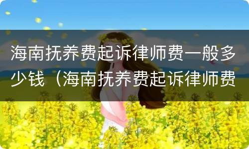 海南抚养费起诉律师费一般多少钱（海南抚养费起诉律师费一般多少钱一次）