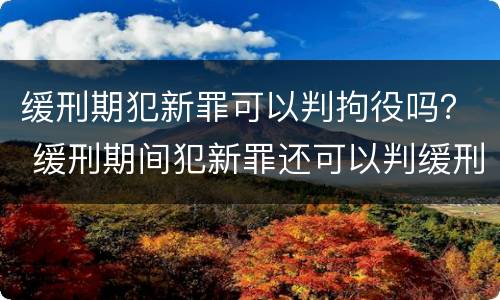 缓刑期犯新罪可以判拘役吗？ 缓刑期间犯新罪还可以判缓刑吗