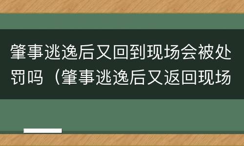 肇事逃逸后又回到现场会被处罚吗（肇事逃逸后又返回现场）