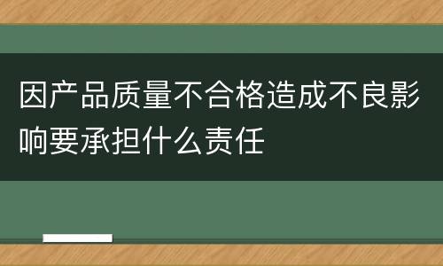 因产品质量不合格造成不良影响要承担什么责任