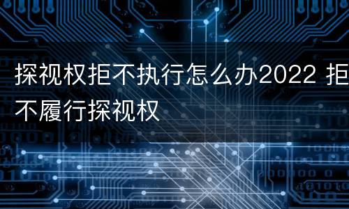 探视权拒不执行怎么办2022 拒不履行探视权