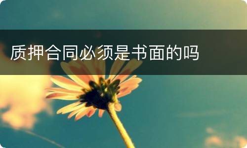 质押合同必须是书面的吗