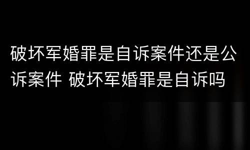 破坏军婚罪是自诉案件还是公诉案件 破坏军婚罪是自诉吗