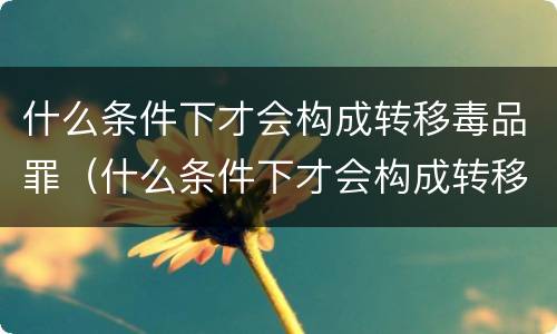 什么条件下才会构成转移毒品罪（什么条件下才会构成转移毒品罪行）