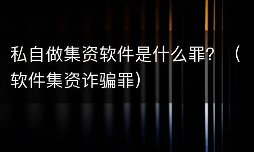私自做集资软件是什么罪？（软件集资诈骗罪）