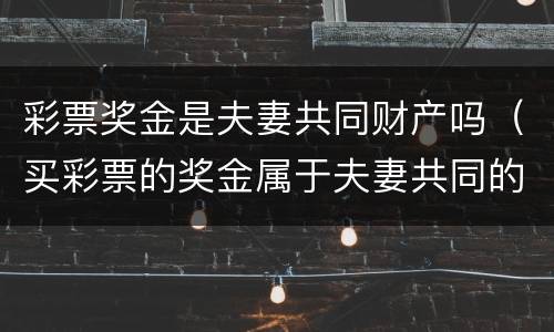 彩票奖金是夫妻共同财产吗（买彩票的奖金属于夫妻共同的吗）