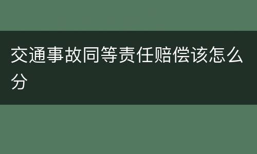 交通事故同等责任赔偿该怎么分