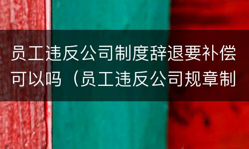 员工违反公司制度辞退要补偿可以吗（员工违反公司规章制度的辞退）