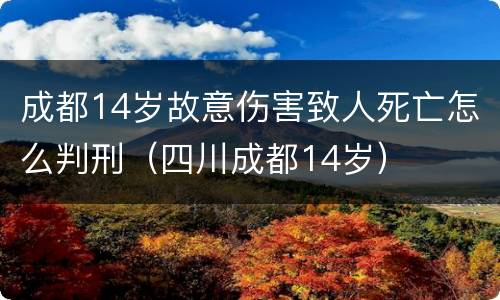 成都14岁故意伤害致人死亡怎么判刑（四川成都14岁）