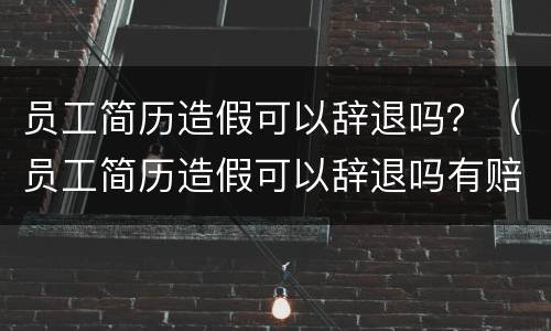 员工简历造假可以辞退吗？（员工简历造假可以辞退吗有赔偿吗）