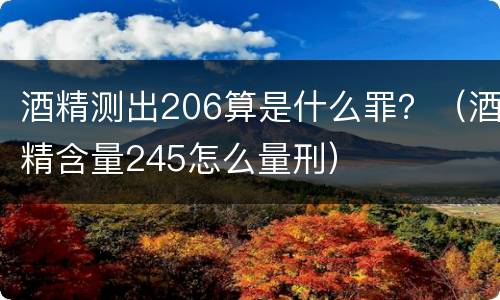 酒精测出206算是什么罪？（酒精含量245怎么量刑）