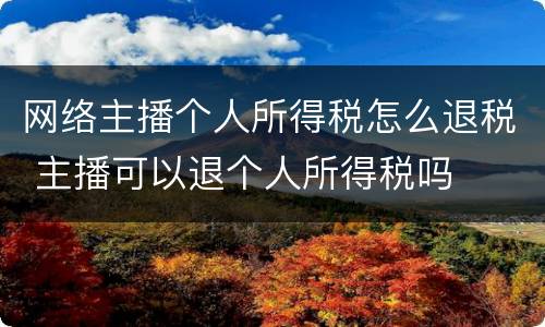 网络主播个人所得税怎么退税 主播可以退个人所得税吗