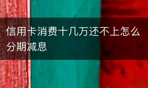 信用卡消费十几万还不上怎么分期减息