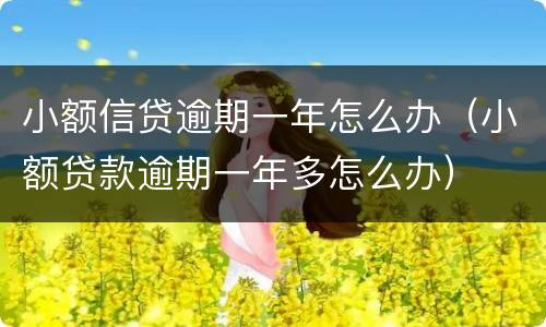小额信贷逾期一年怎么办（小额贷款逾期一年多怎么办）