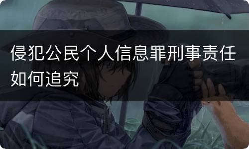 侵犯公民个人信息罪刑事责任如何追究