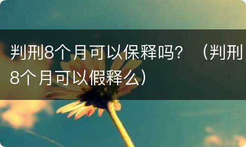 判刑8个月可以保释吗？（判刑8个月可以假释么）