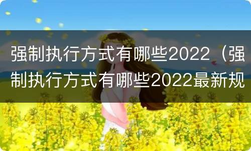 强制执行方式有哪些2022（强制执行方式有哪些2022最新规定）
