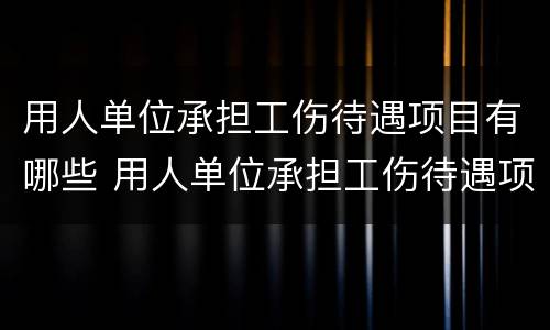 用人单位承担工伤待遇项目有哪些 用人单位承担工伤待遇项目有哪些要求