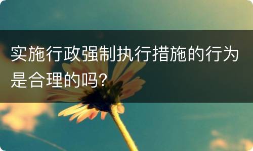 实施行政强制执行措施的行为是合理的吗？