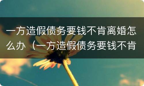 一方造假债务要钱不肯离婚怎么办（一方造假债务要钱不肯离婚怎么办理）