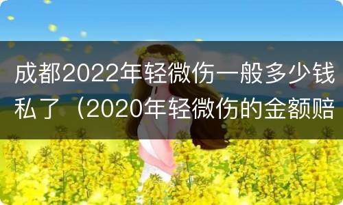 成都2022年轻微伤一般多少钱私了（2020年轻微伤的金额赔偿标准）