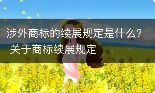 涉外商标的续展规定是什么？ 关于商标续展规定