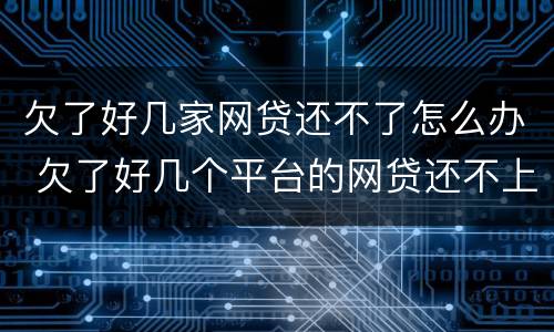 欠了好几家网贷还不了怎么办 欠了好几个平台的网贷还不上怎么办