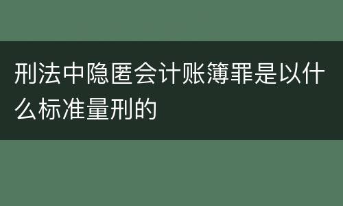 刑法中隐匿会计账簿罪是以什么标准量刑的