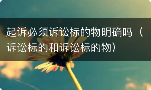 起诉必须诉讼标的物明确吗（诉讼标的和诉讼标的物）