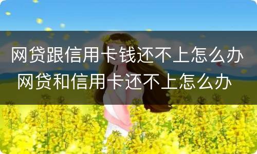 网贷跟信用卡钱还不上怎么办 网贷和信用卡还不上怎么办