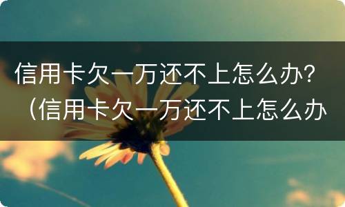 信用卡欠一万还不上怎么办？（信用卡欠一万还不上怎么办呀）