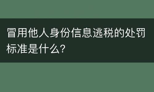 冒用他人身份信息逃税的处罚标准是什么？