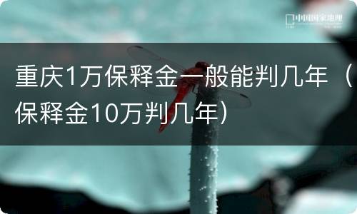 重庆1万保释金一般能判几年（保释金10万判几年）