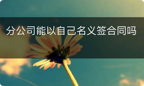 分公司能以自己名义签合同吗