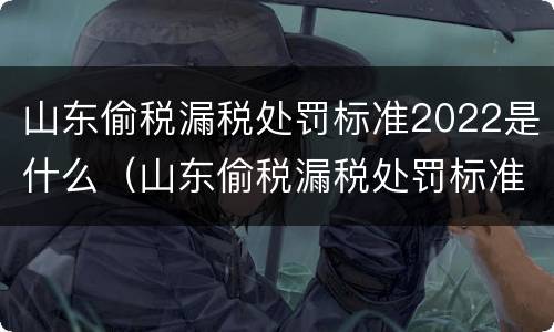 山东偷税漏税处罚标准2022是什么（山东偷税漏税处罚标准2022是什么样的）