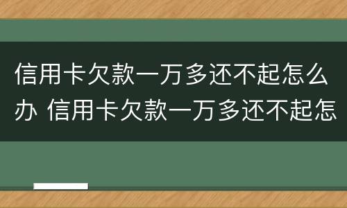 信用卡欠款一万多还不起怎么办 信用卡欠款一万多还不起怎么办理