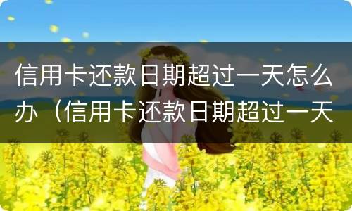 信用卡还款日期超过一天怎么办（信用卡还款日期超过一天怎么办理）