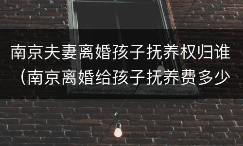 南京夫妻离婚孩子抚养权归谁（南京离婚给孩子抚养费多少）