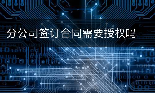 分公司签订合同需要授权吗
