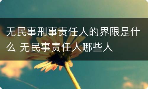 无民事刑事责任人的界限是什么 无民事责任人哪些人