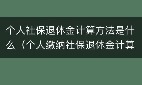 个人社保退休金计算方法是什么（个人缴纳社保退休金计算器）
