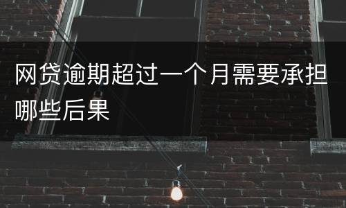 网贷逾期超过一个月需要承担哪些后果