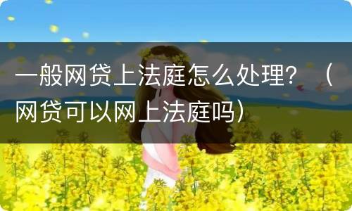 一般网贷上法庭怎么处理？（网贷可以网上法庭吗）