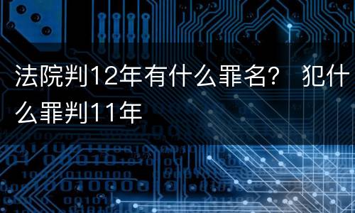 法院判12年有什么罪名？ 犯什么罪判11年