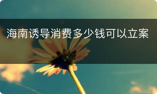 海南诱导消费多少钱可以立案