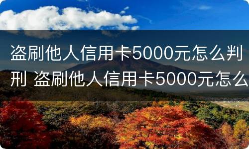 盗刷他人信用卡5000元怎么判刑 盗刷他人信用卡5000元怎么判刑案例