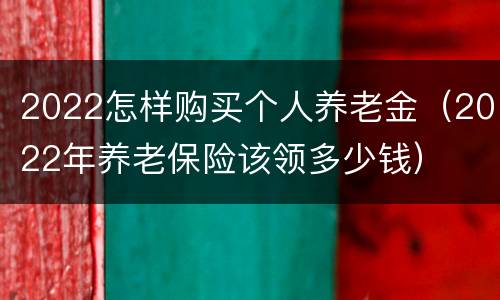 2022怎样购买个人养老金（2022年养老保险该领多少钱）