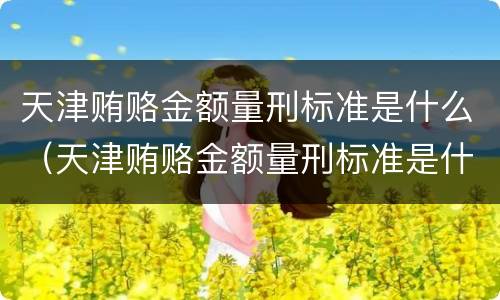 天津贿赂金额量刑标准是什么（天津贿赂金额量刑标准是什么样的）